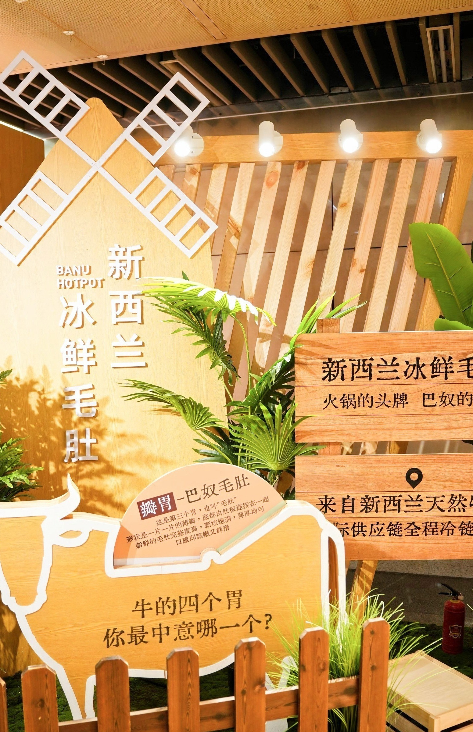 图片组件
